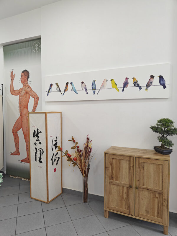 oplus_1048608