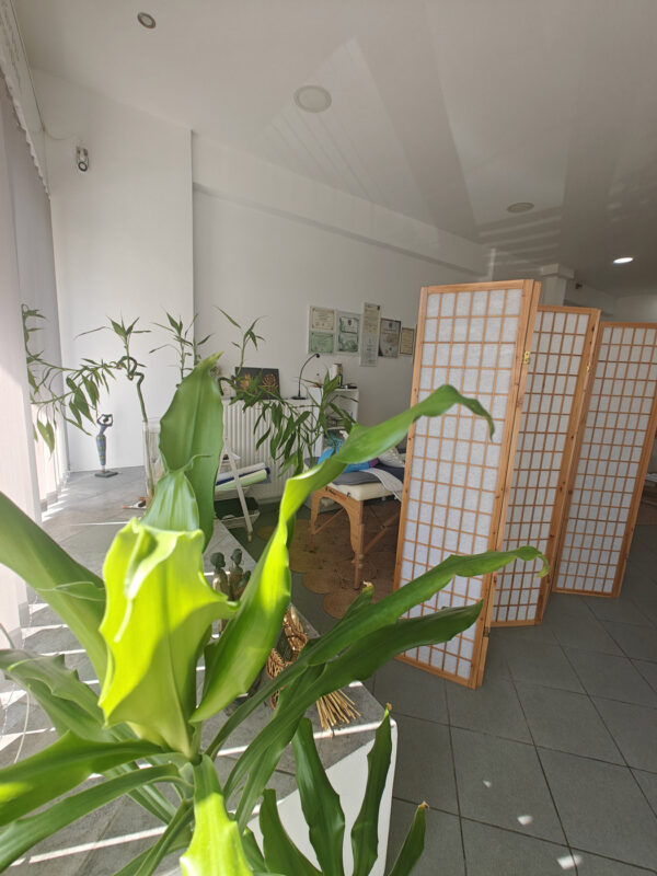 oplus_1048608